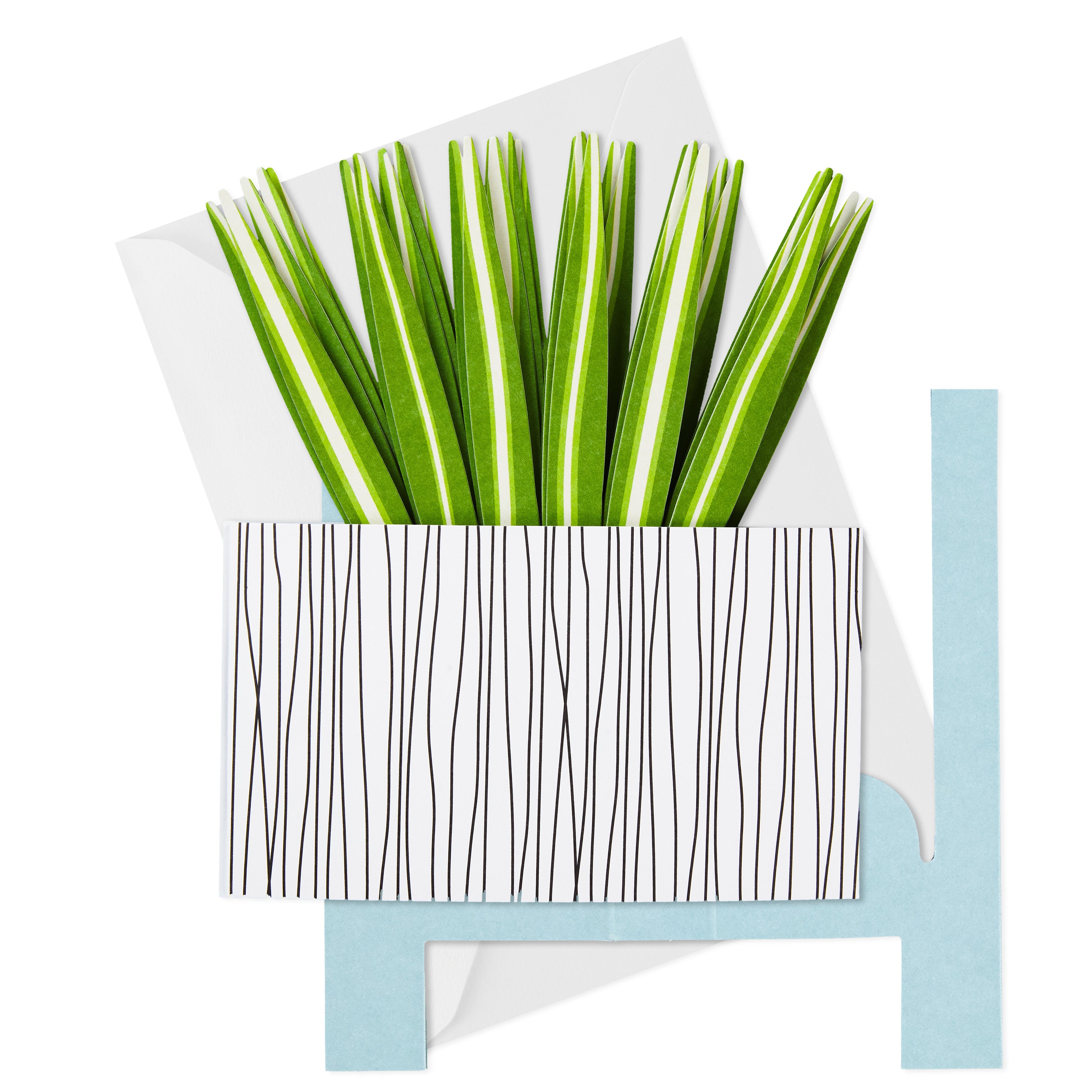 Paper Wonder All Occasion Pop Up Card (Potted Spider Plant)