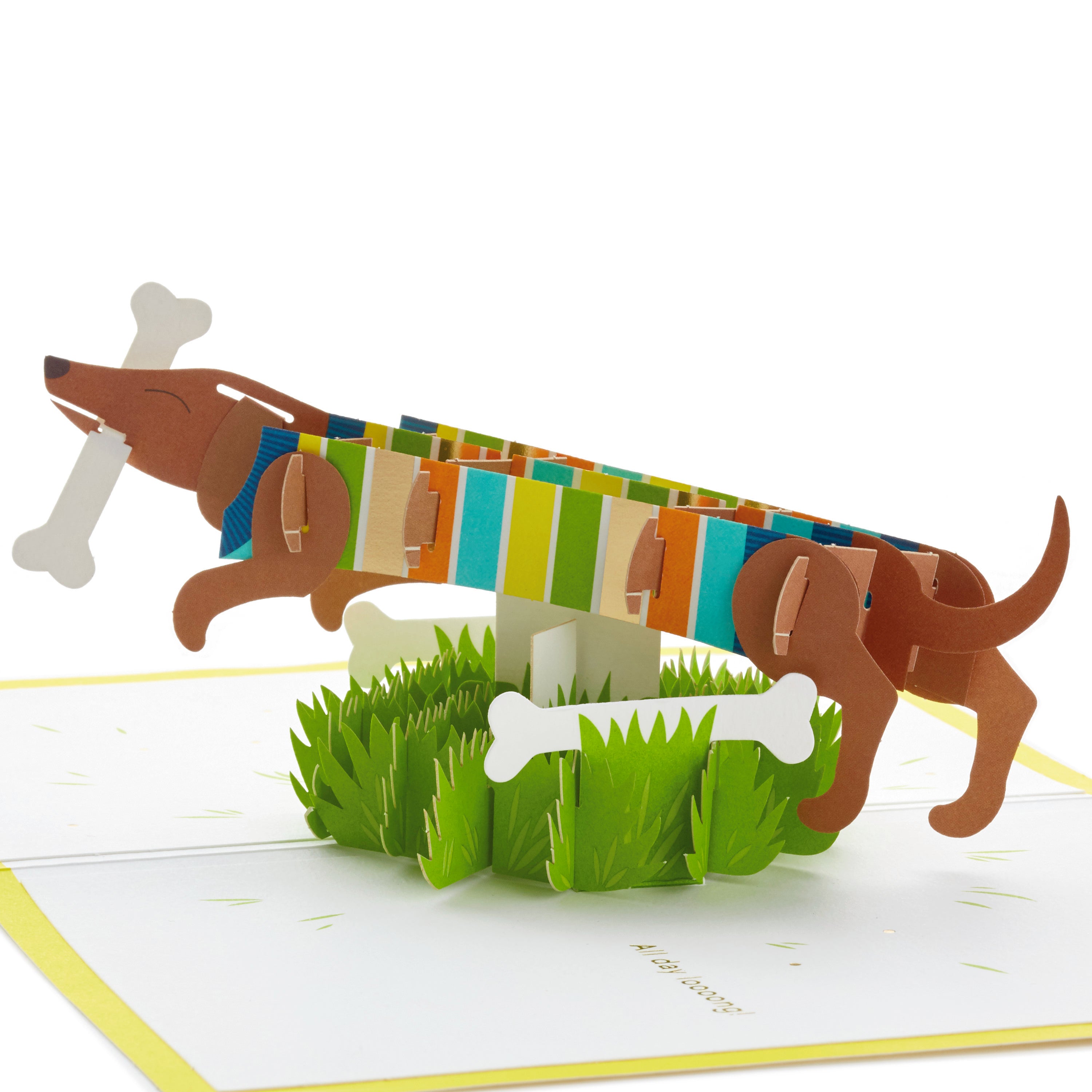 Signature Paper Wonder Pop Up Birthday Card (Dachshund, Happy All Day Long)