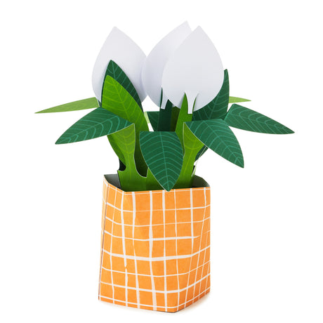  Paper Wonder Thinking of You, Encouragement Pop Up Card (Potted Peace Lily)