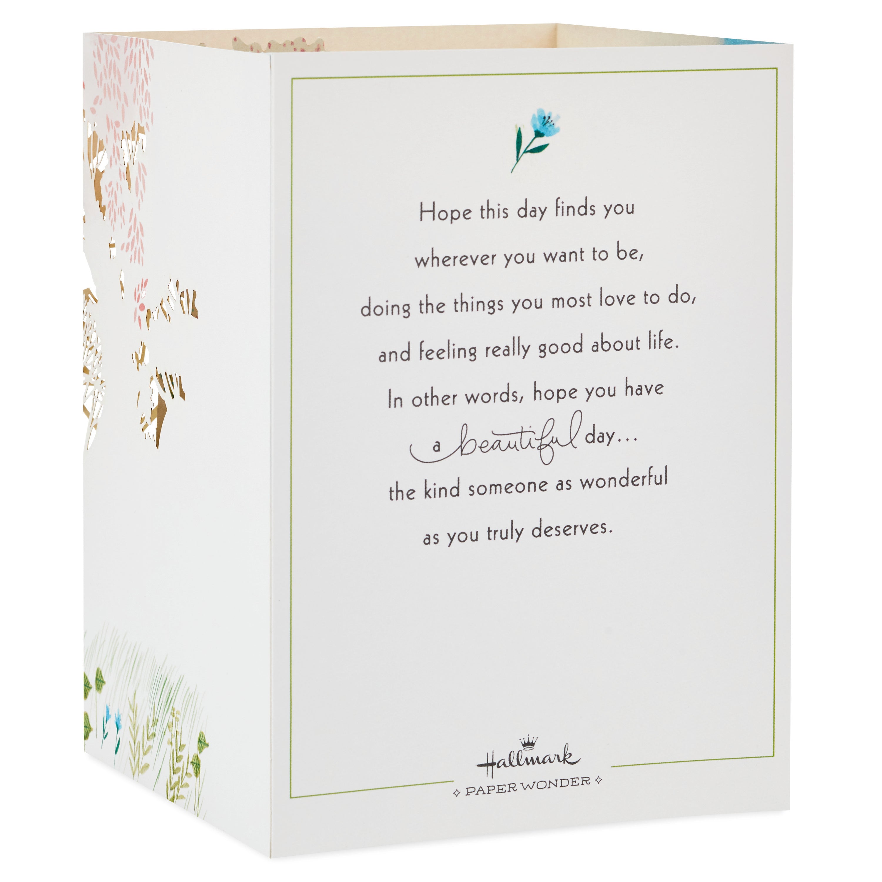 Hallmark Paper Wonder Displayable Pop Up Birthday Card for Women (Beautiful Day)
