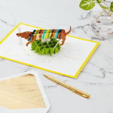 Signature Paper Wonder Pop Up Birthday Card (Dachshund, Happy All Day Long)