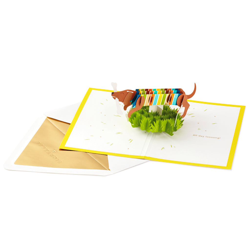 Signature Paper Wonder Pop Up Birthday Card (Dachshund, Happy All Day Long)