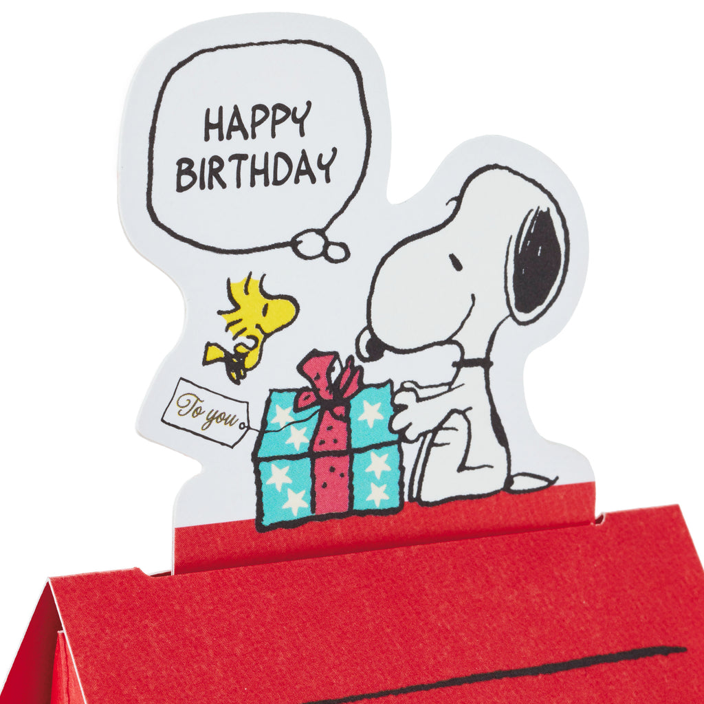Pop Up Peanuts Birthday Card (Snoopy Dog House)