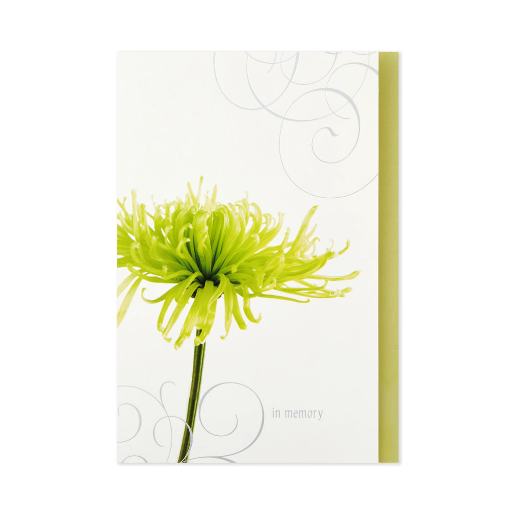 Assorted Sympathy Cards (Flowers, 12 Cards and Envelopes)