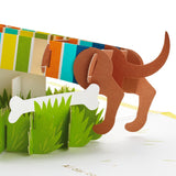 Signature Paper Wonder Pop Up Birthday Card (Dachshund, Happy All Day Long)