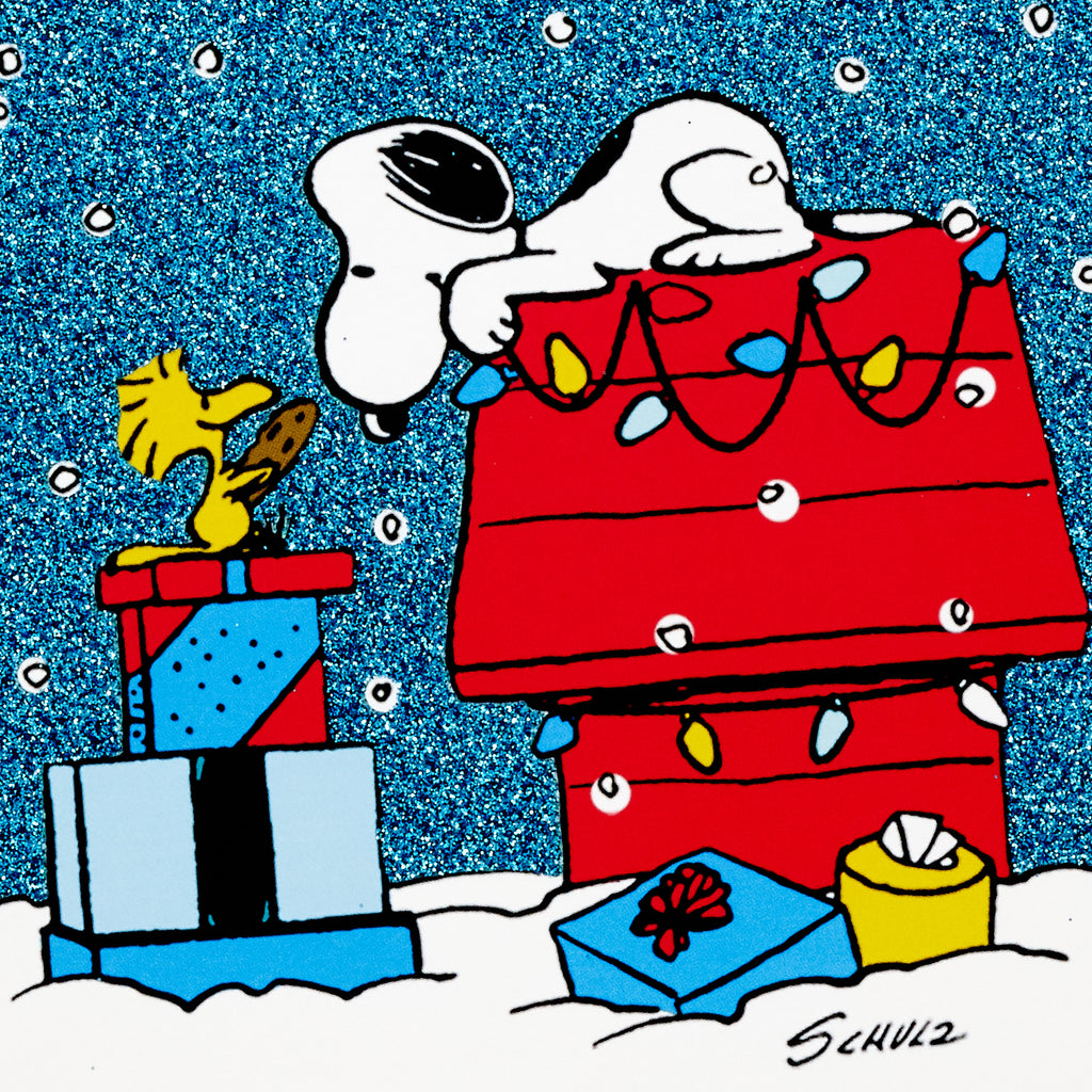 Peanuts Boxed Christmas Cards Assortment, Classic Comics (4 Designs, 16 Cards and Envelopes)