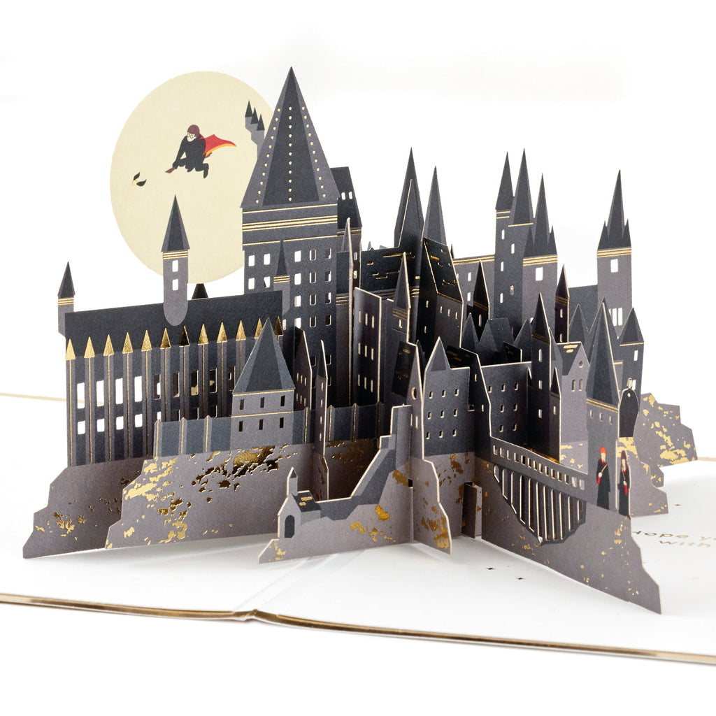 Signature Paper Wonder Pop Up Birthday Card (Harry Potter)