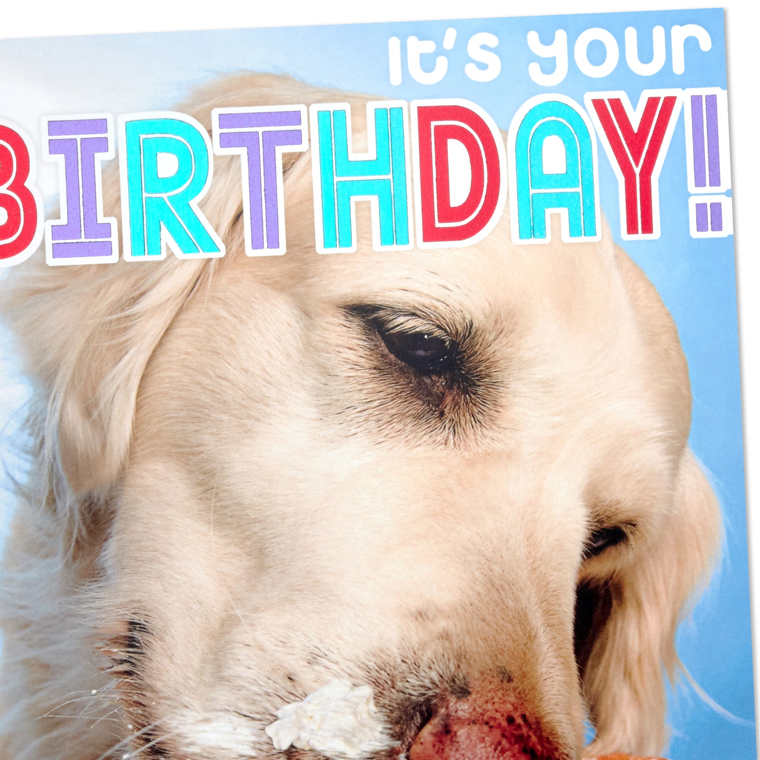 Birthday Card (Dog Eating Birthday Cake) – Hallmark Canada