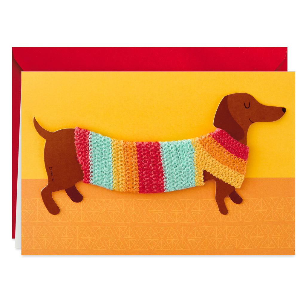 Signature Birthday Card with Removable Dachshund Magnet (Dog in Sweater)