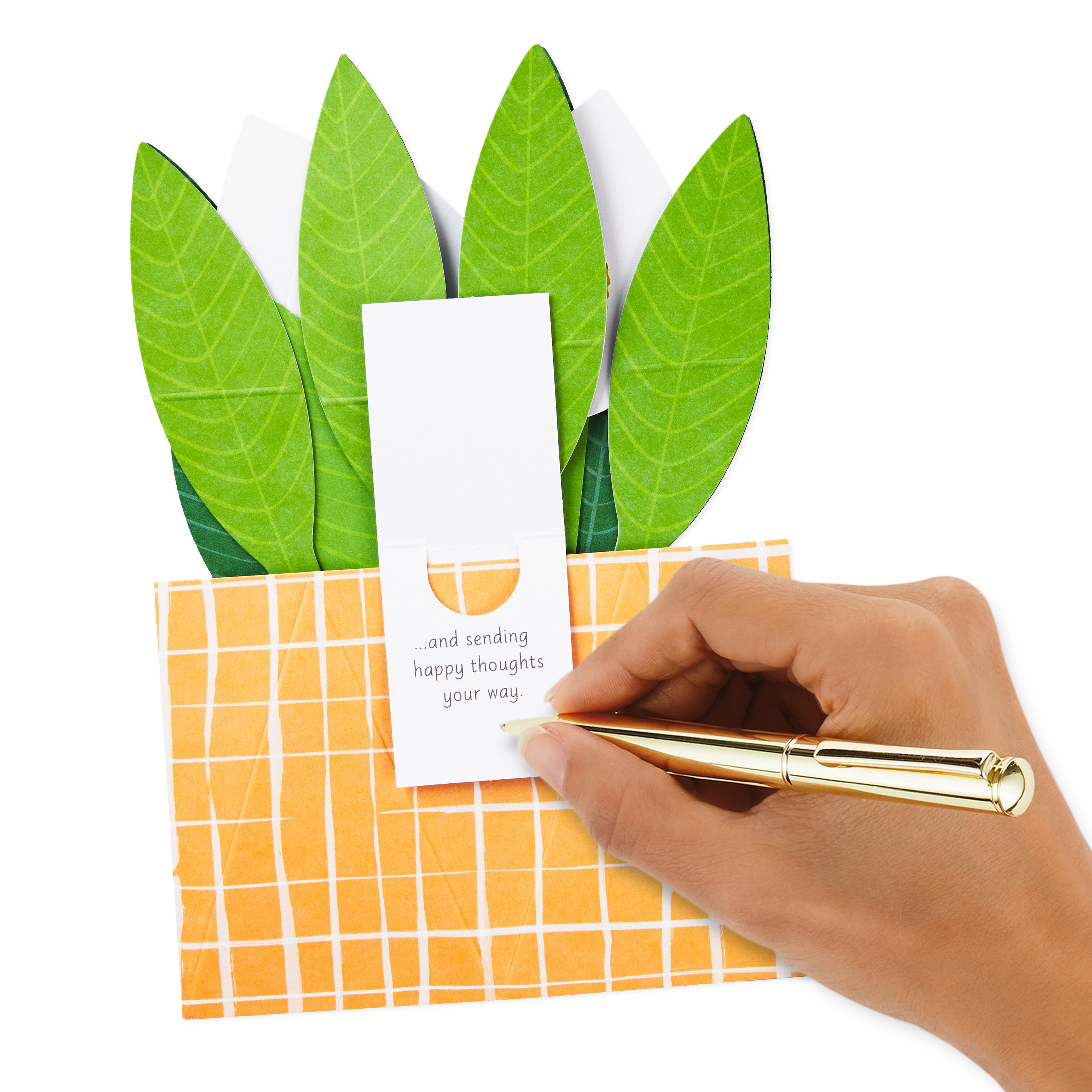  Paper Wonder Thinking of You, Encouragement Pop Up Card (Potted Peace Lily)