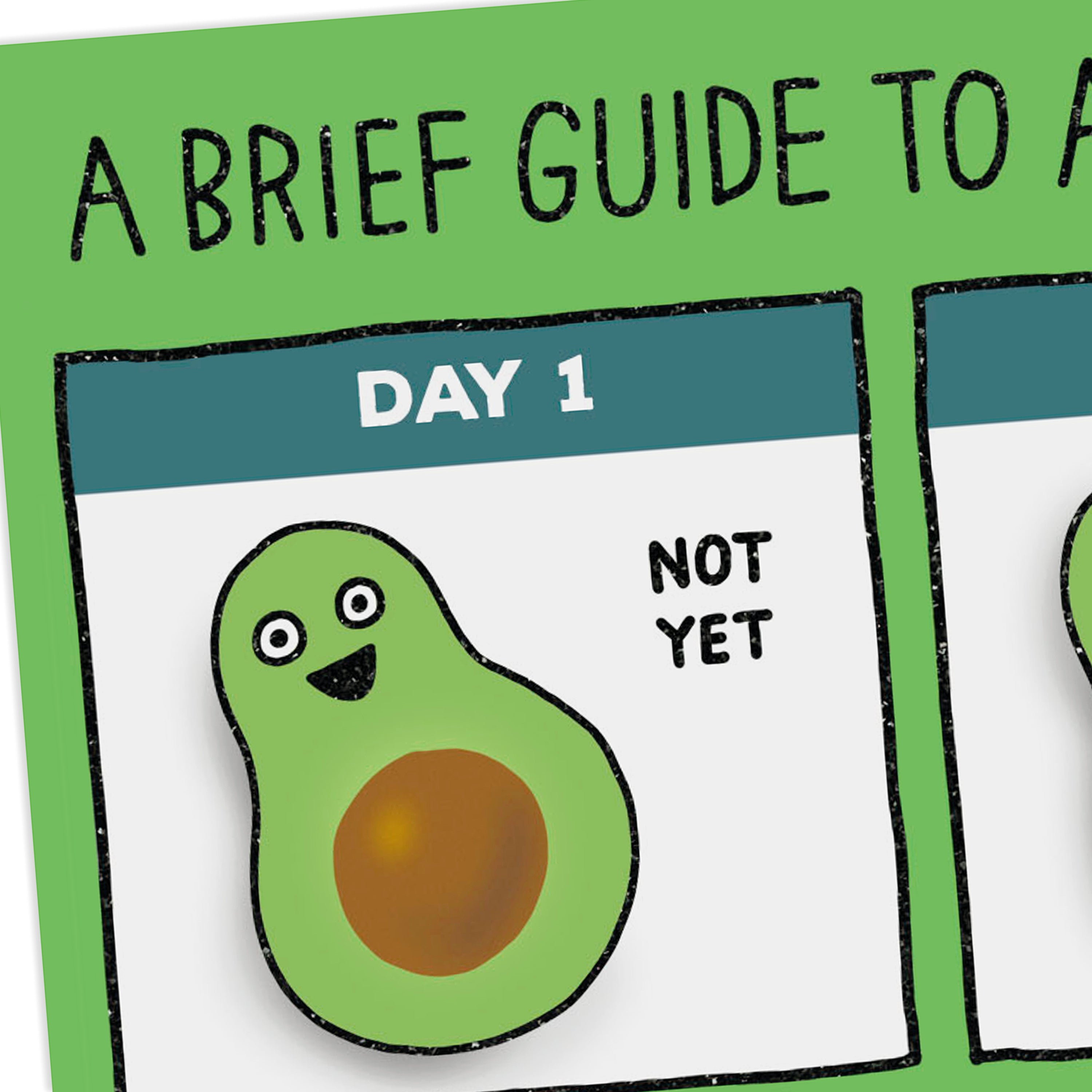 Shoebox Funny Birthday Card (Guide to Avocados)