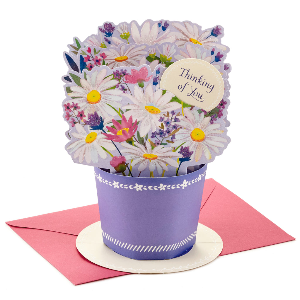 Paper Wonder Thinking of You, Birthday, Encouragement Pop Up Card (Displayable Daisy Bouquet)