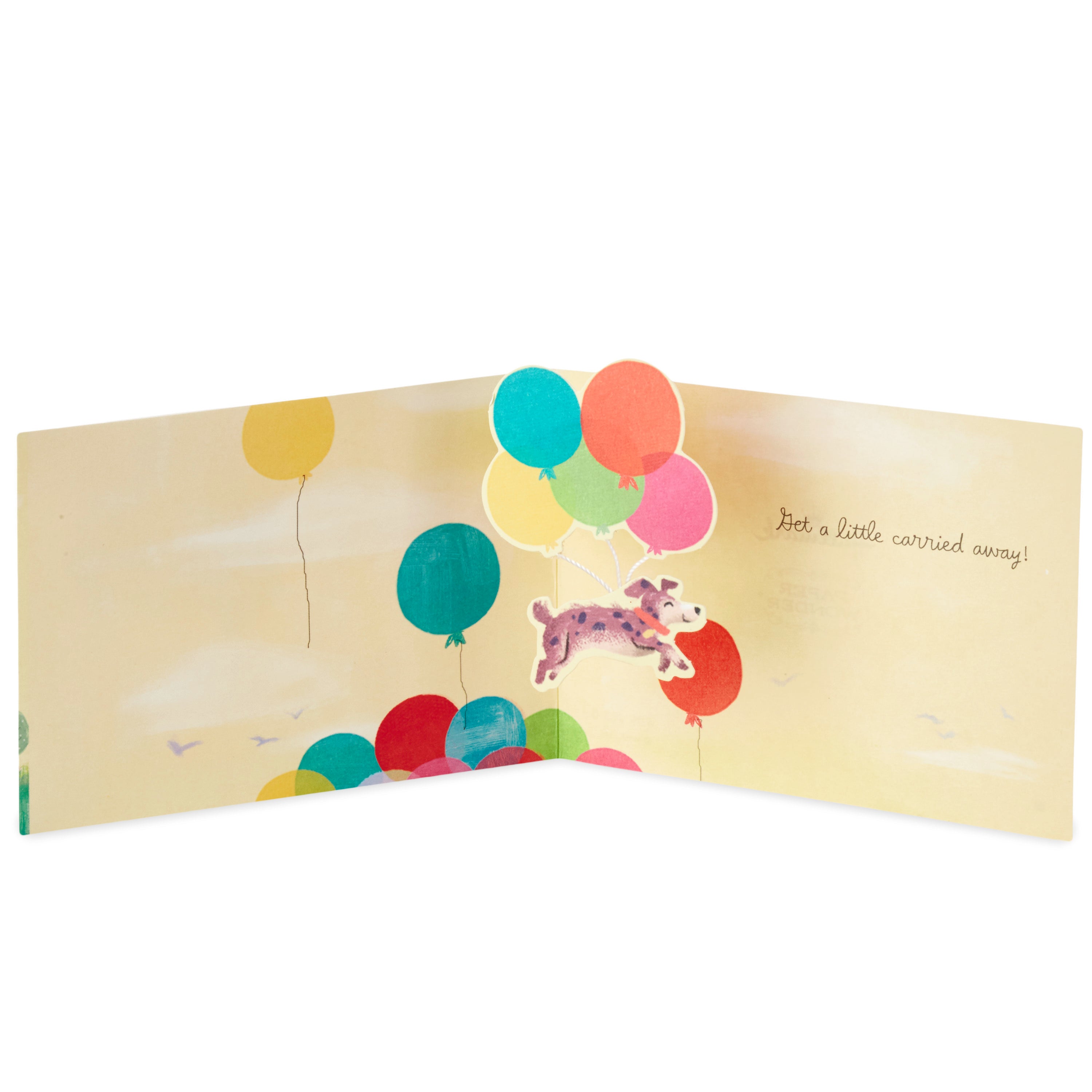 Paper Wonder Pop Up Birthday Card (Get Carried Away)