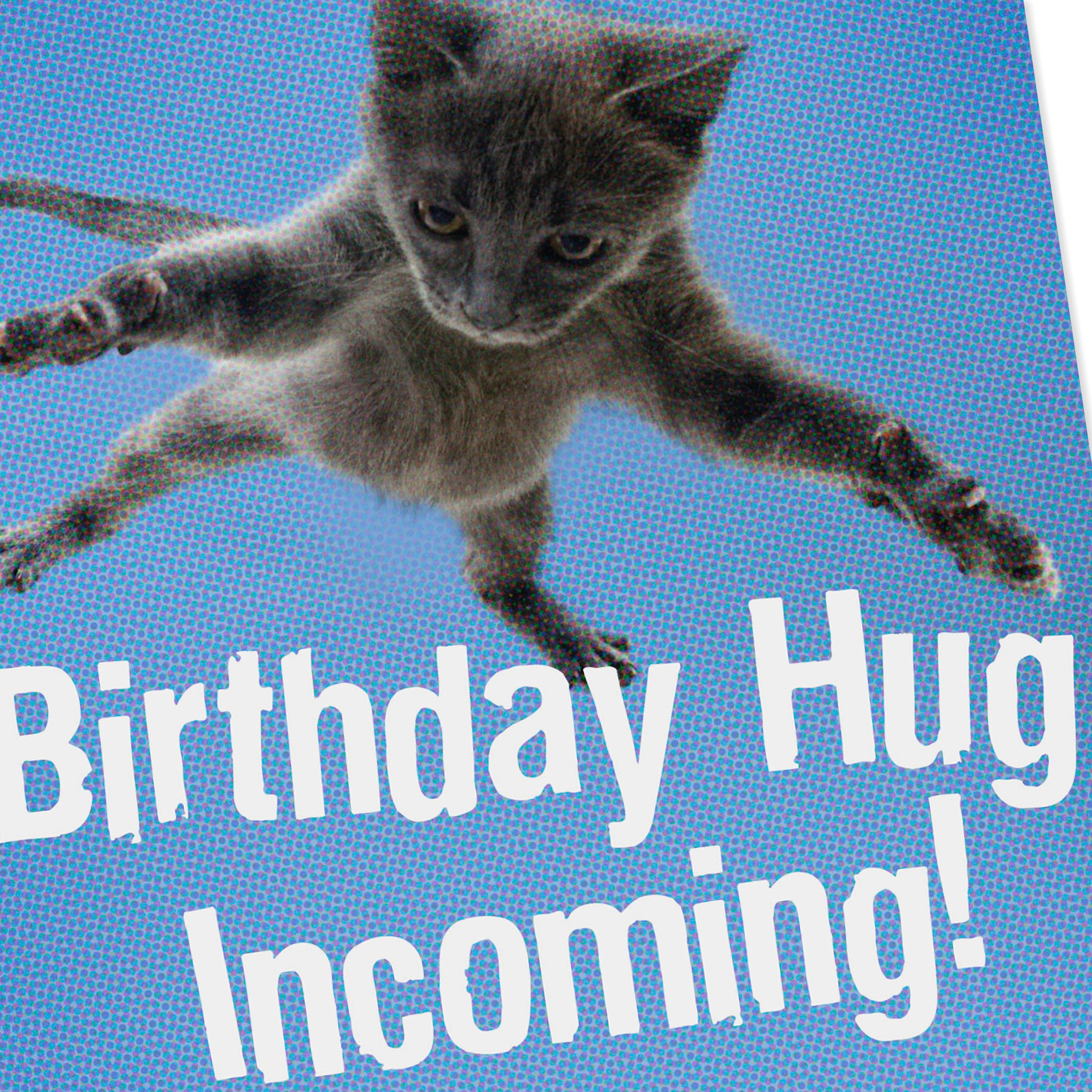 Shoebox Funny Birthday Card (Flying Cat)