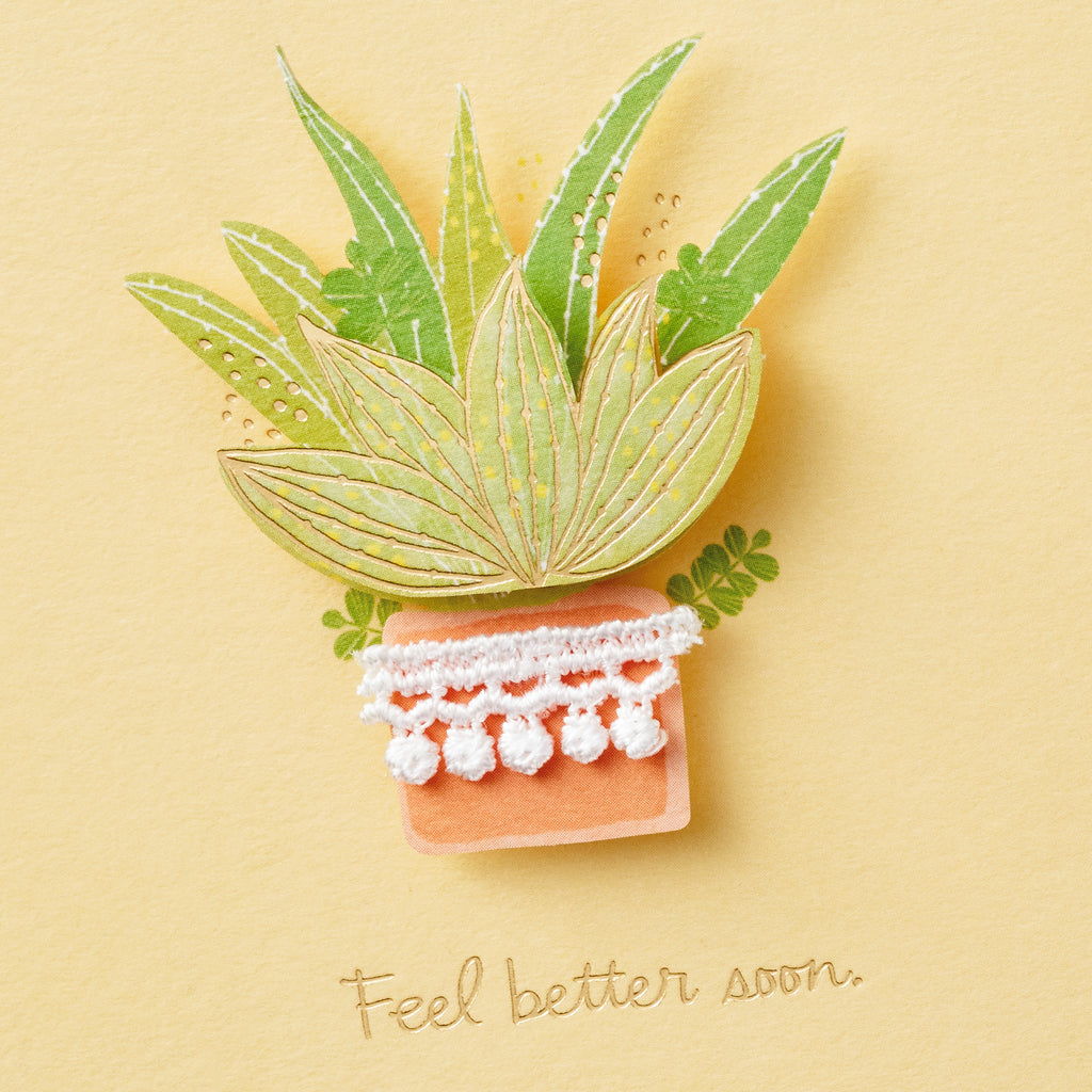 Signature Get Well Card (Plant)