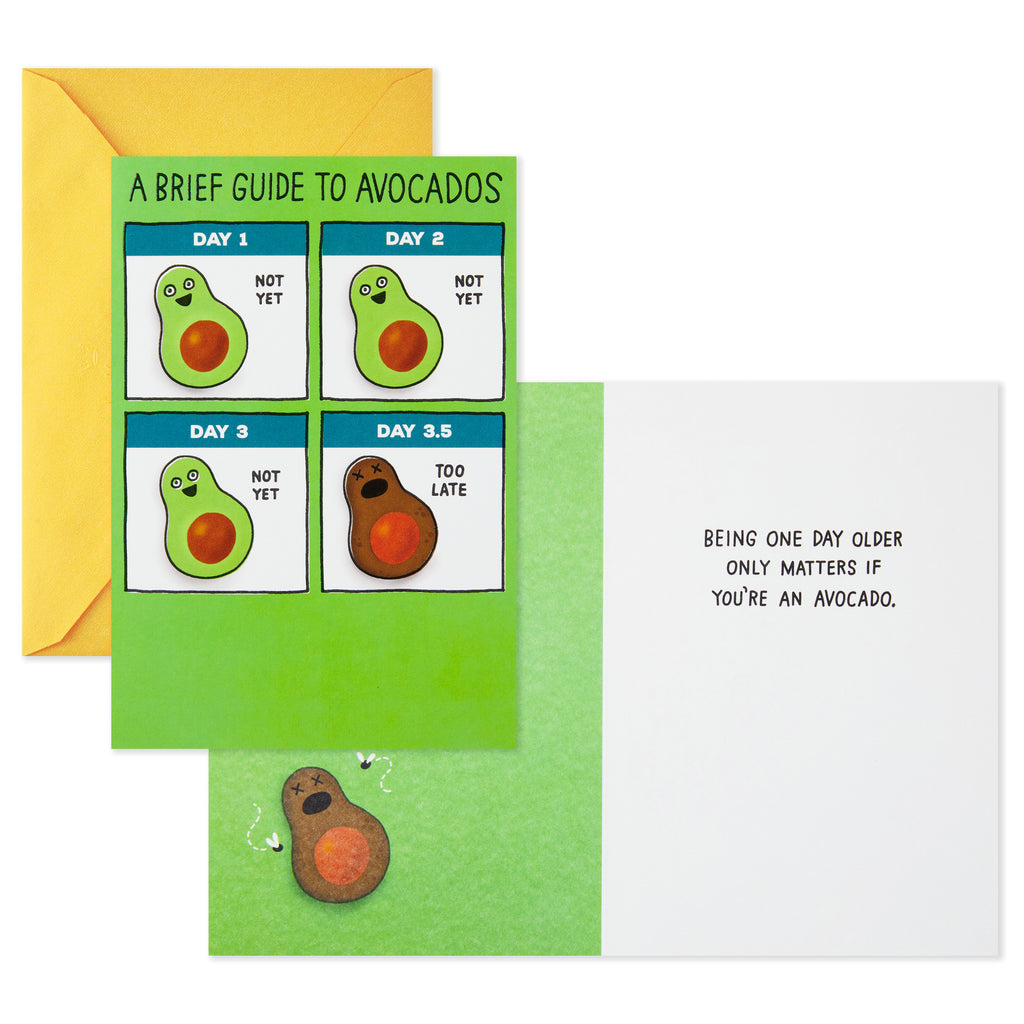 Shoebox Funny Birthday Card (Guide to Avocados)
