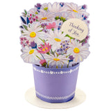 Paper Wonder Thinking of You, Birthday, Encouragement Pop Up Card (Displayable Daisy Bouquet)